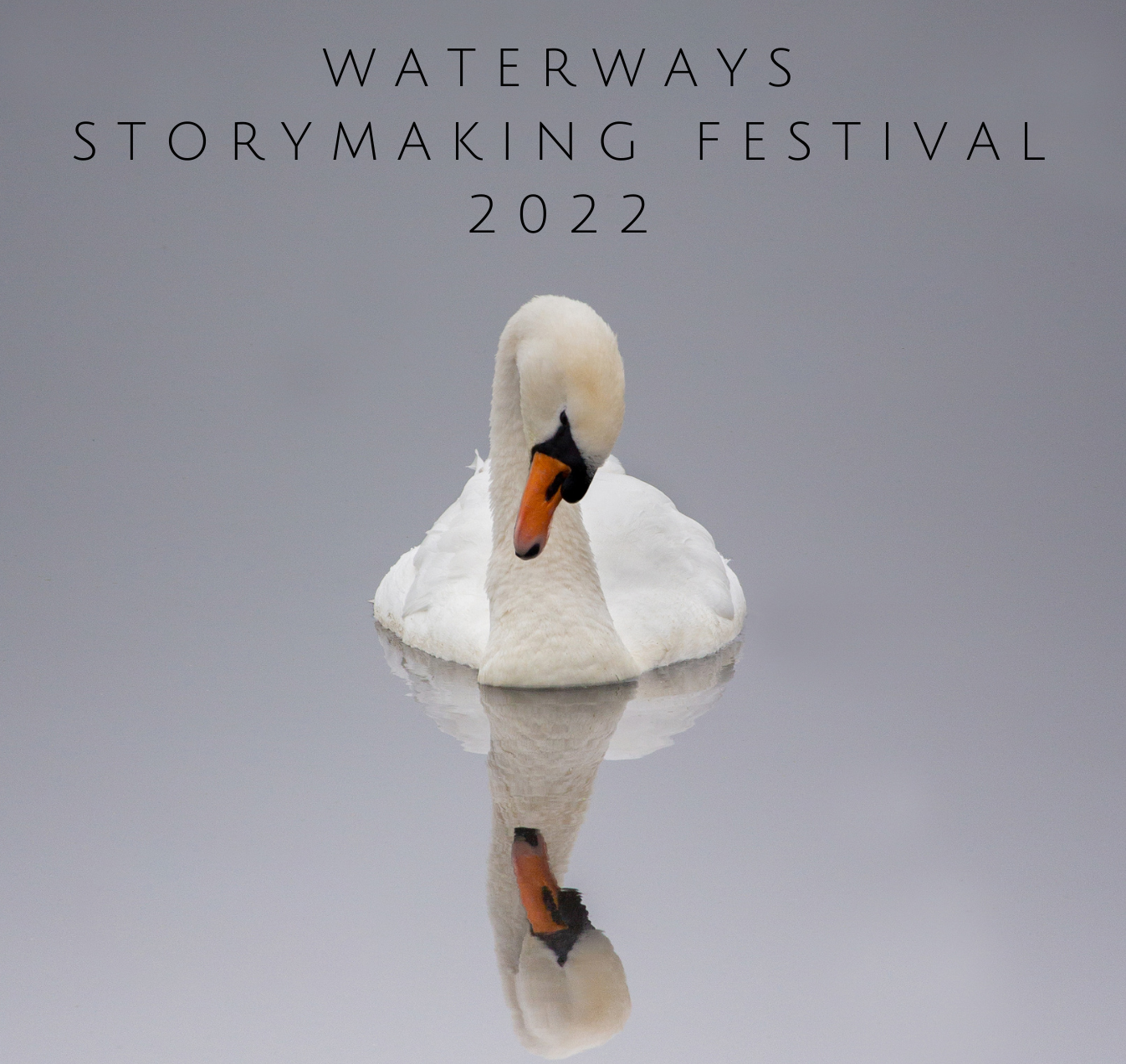 Waterways Festival swan